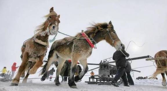 原创 冬天,东北自驾赏雾凇不过瘾?还有这些美食等着你!7