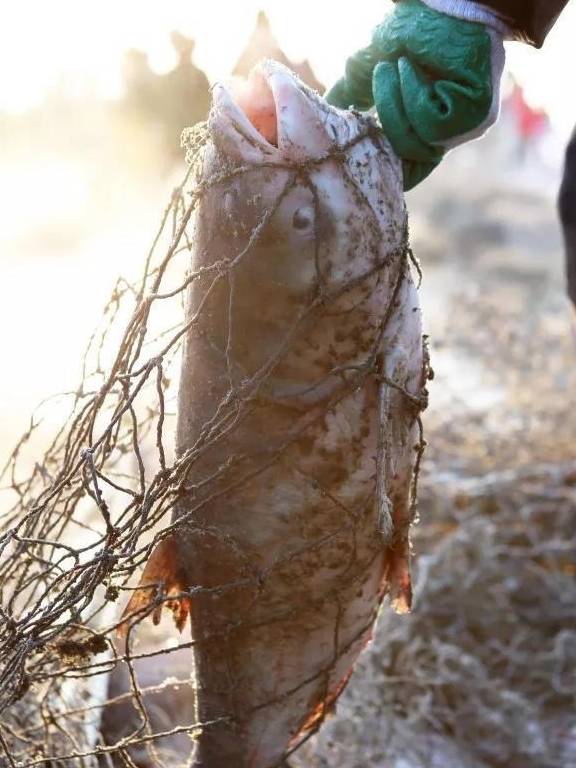 原创 冬天,东北自驾赏雾凇不过瘾?还有这些美食等着你!9