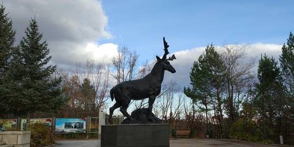 原创 不下雪的降温都是耍流氓!搭国产“雪国列车”,穿着短袖去北极7