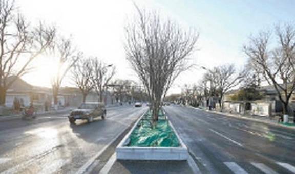 原创 增绿化带、设安全岛、缩窄车道，北京平安大街为“健步悦骑”让路2