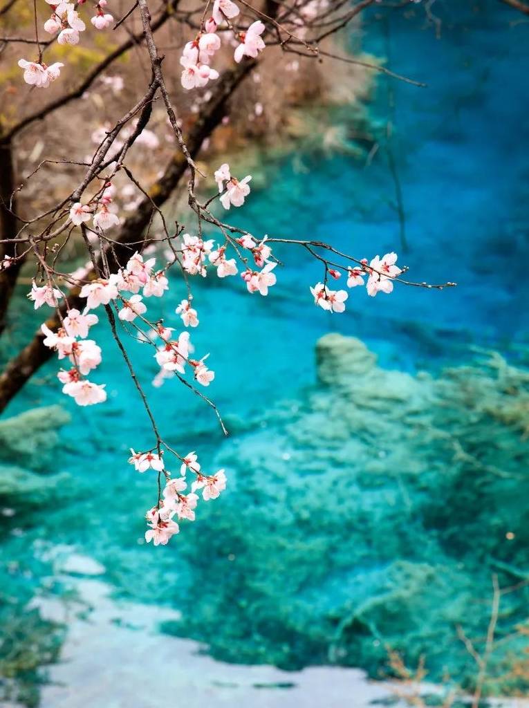 40个被CNN评为“最美”的国内景点,我去过8个,你呢?2