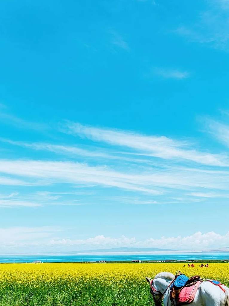 40个被CNN评为“最美”的国内景点,我去过8个,你呢?20