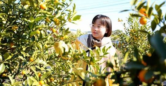 原创 沙坝仔村没坝,但有神农,是城里人向往的村落18