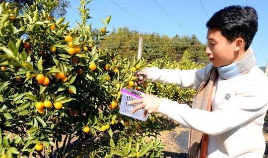 原创 沙坝仔村没坝,但有神农,是城里人向往的村落19