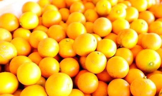 原创 沙坝仔村没坝,但有神农,是城里人向往的村落21