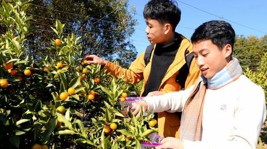 原创 沙坝仔村没坝,但有神农,是城里人向往的村落22
