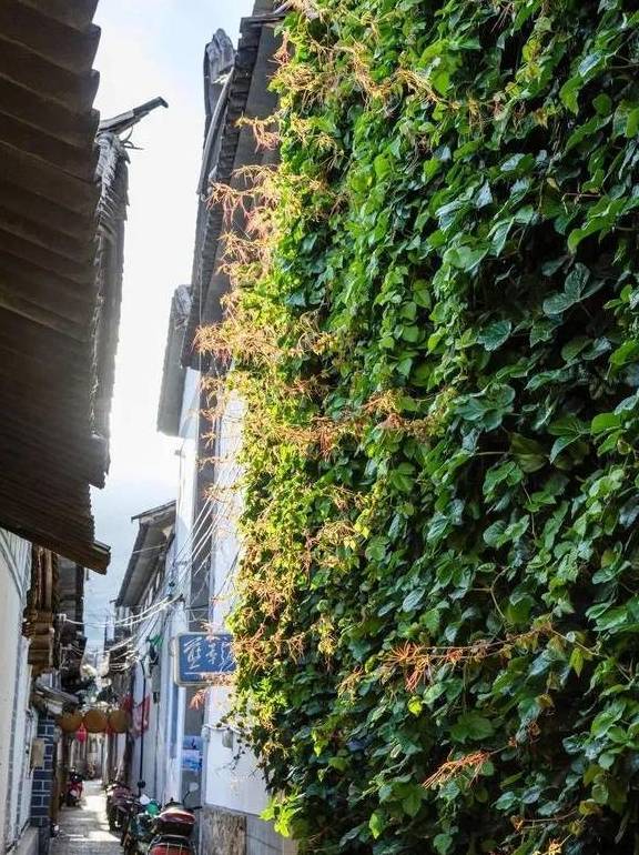 原创 北京万科与链家正式分手,“出道即巅峰”的万链独角兽之梦破碎?3