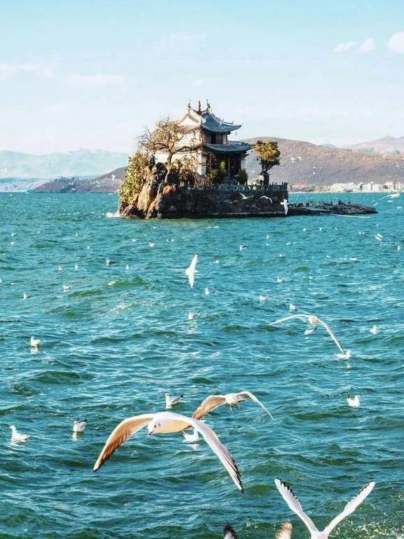 原创 冬日大理，10个温暖疗愈的瞬间15