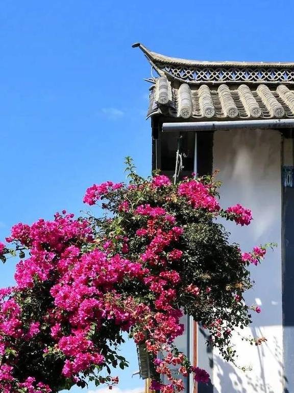 原创 冬日大理，10个温暖疗愈的瞬间25