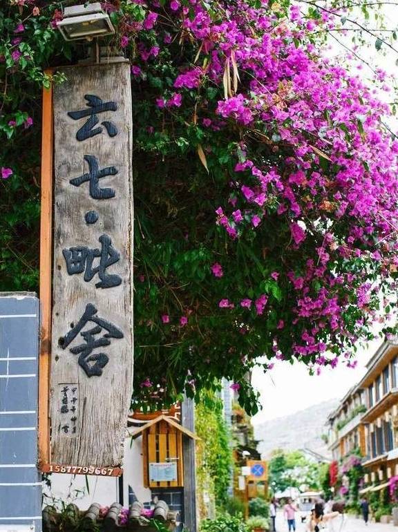 原创 冬日大理，10个温暖疗愈的瞬间34