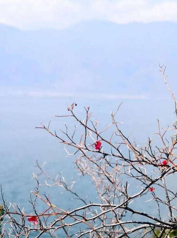 原创 冬日大理，10个温暖疗愈的瞬间38