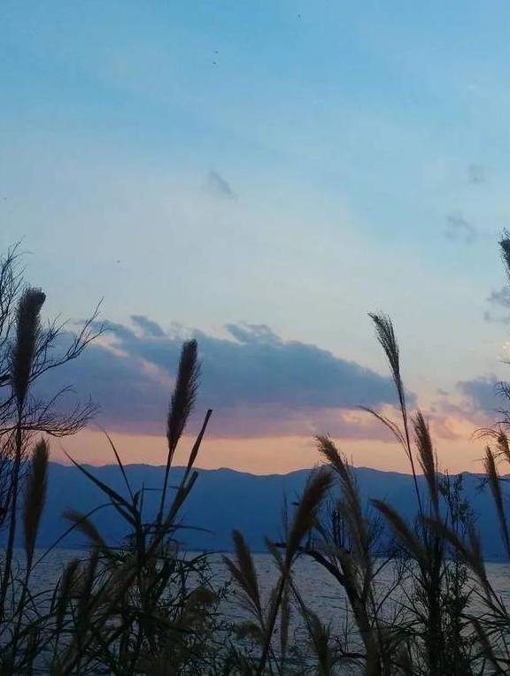 原创 冬日大理，10个温暖疗愈的瞬间39