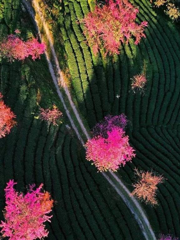 原创 冬日大理，10个温暖疗愈的瞬间44