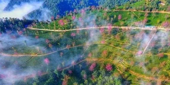 原创 冬日大理，10个温暖疗愈的瞬间45