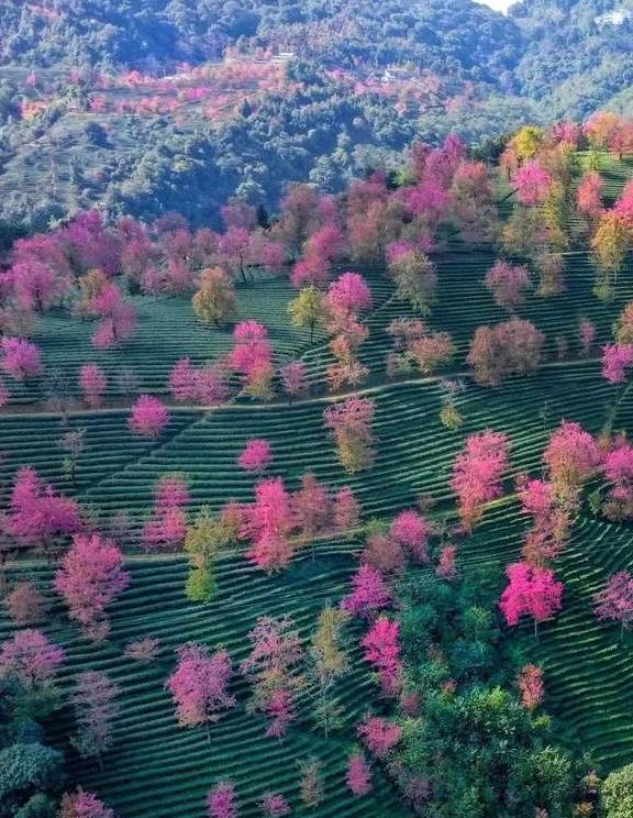 原创 冬日大理，10个温暖疗愈的瞬间46