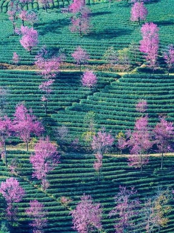 原创 冬日大理，10个温暖疗愈的瞬间48