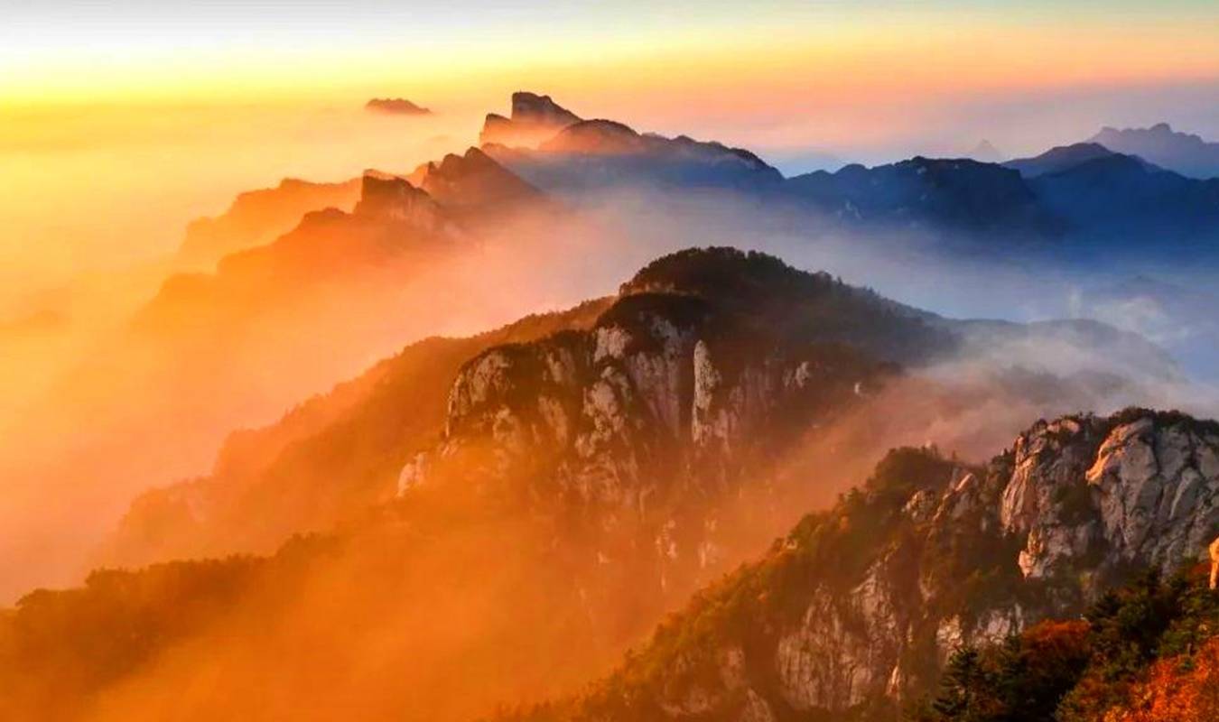 洛阳有座被称为自然博物馆的大山，山中有棵银杏树王，已2300多年2