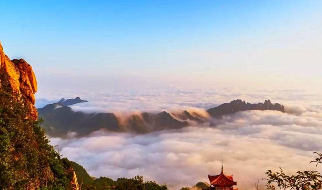 洛阳有座被称为自然博物馆的大山，山中有棵银杏树王，已2300多年3