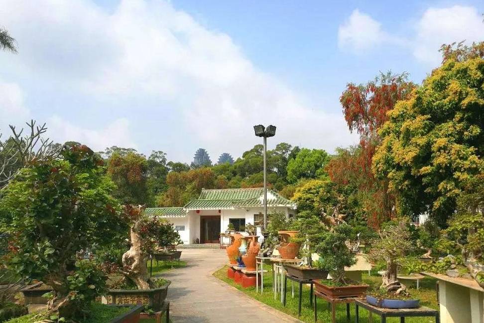 原创 深圳一公园迅速走红,规模远超“大梅沙”,有百处景点免费游览4