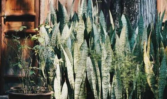 原创 烟雨建水,浪漫芳华……尽在滇越铁路边沿的四座边城!12