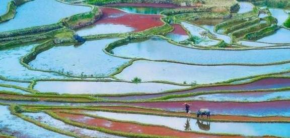 原创 烟雨建水,浪漫芳华……尽在滇越铁路边沿的四座边城!36