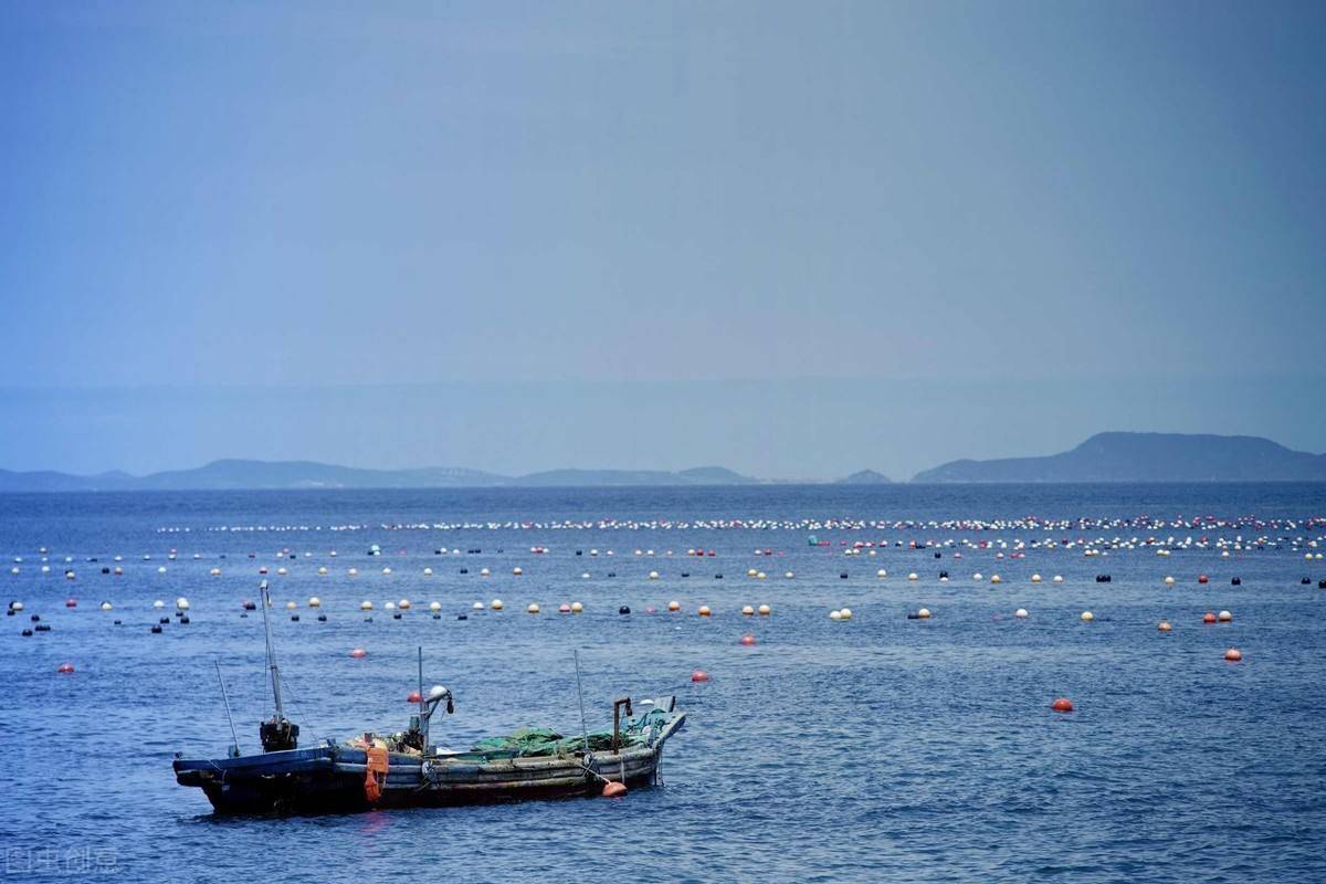 原创 獐子岛回应汤加火山爆发刺激扇贝涌入,情况未明确,股价却先涨停3