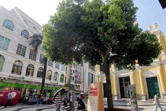 原创 它们是“上帝”在澳门的“居所”，每一份信仰，都值得被尊重2