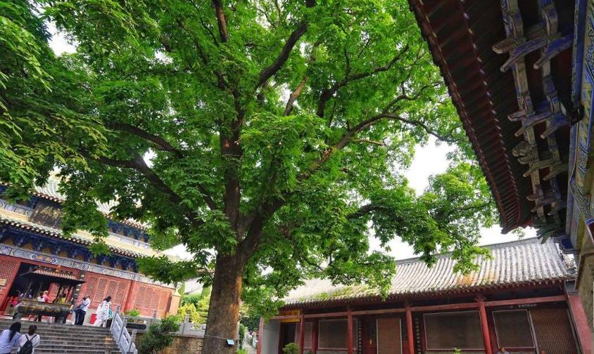原创 与少林寺相邻的永泰寺,人称“女少林寺”,3位公主曾在此出家1