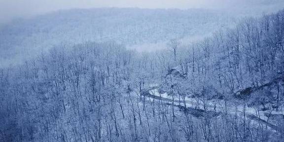 原创 太行雪满山 玉树琼枝景1