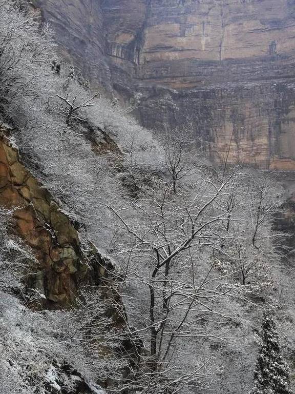 原创 太行雪满山 玉树琼枝景8