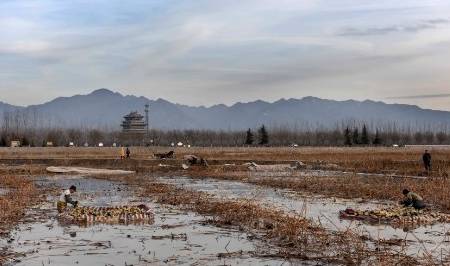 原创 偷看“成人网站”无人知?手机出现以下4种问题,请停止再接触3