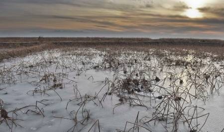 原创 偷看“成人网站”无人知?手机出现以下4种问题,请停止再接触4