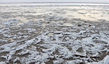 原创 寒潮来袭黄河永济段大面积流凌，场面十分壮观，小朋友用脚试冰11