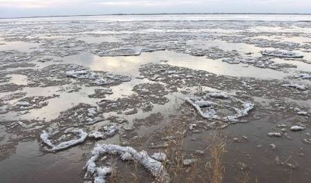 原创 寒潮来袭黄河永济段大面积流凌，场面十分壮观，小朋友用脚试冰6