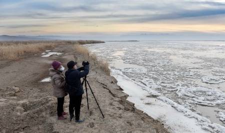 原创 寒潮来袭黄河永济段大面积流凌，场面十分壮观，小朋友用脚试冰7