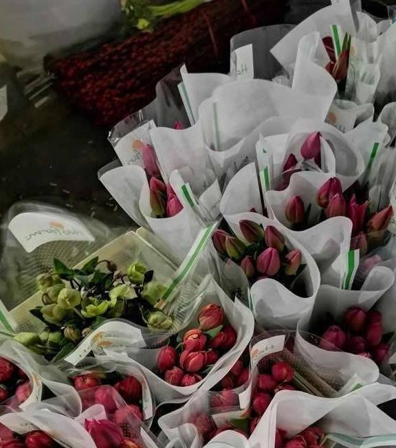 原创 全国“最大”的鲜花产地，“鲜花”论斤卖，好想去称20斤2