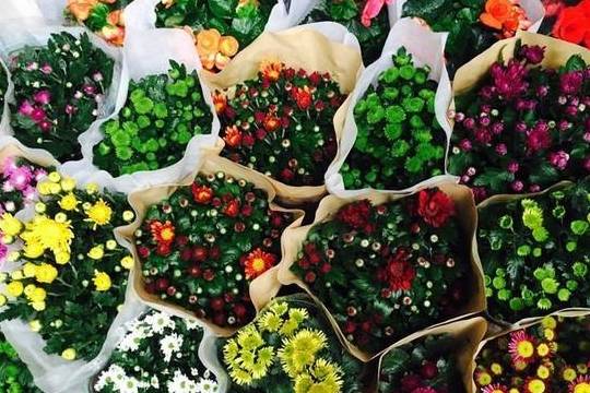 原创 全国“最大”的鲜花产地，“鲜花”论斤卖，好想去称20斤4