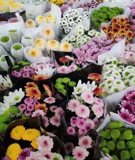 原创 全国“最大”的鲜花产地，“鲜花”论斤卖，好想去称20斤6