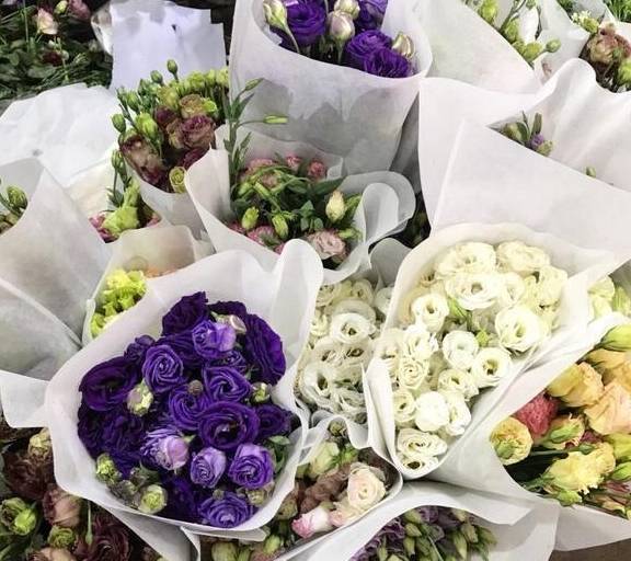 原创 全国“最大”的鲜花产地，“鲜花”论斤卖，好想去称20斤10