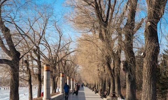 原创 这座北国之城冬天就是冰天雪地的世界,却被称春城,这是为什么呢6