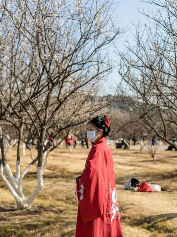 原创 广州「香雪梅花」开了!800000㎡梅花绽放,花期倒计时7天19