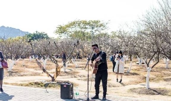 原创 广州「香雪梅花」开了!800000㎡梅花绽放,花期倒计时7天24