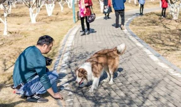 原创 广州「香雪梅花」开了!800000㎡梅花绽放,花期倒计时7天30