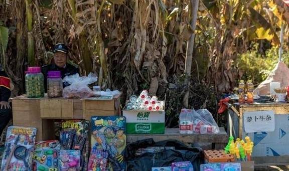 原创 广州「香雪梅花」开了!800000㎡梅花绽放,花期倒计时7天32