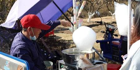 原创 广州「香雪梅花」开了!800000㎡梅花绽放,花期倒计时7天36