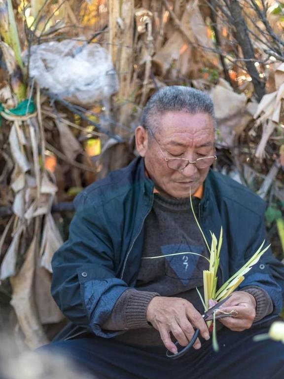 原创 广州「香雪梅花」开了!800000㎡梅花绽放,花期倒计时7天40