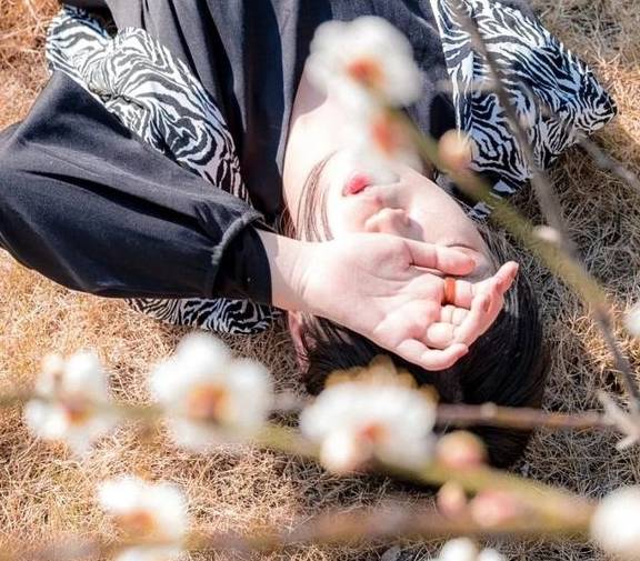 原创 广州「香雪梅花」开了!800000㎡梅花绽放,花期倒计时7天49