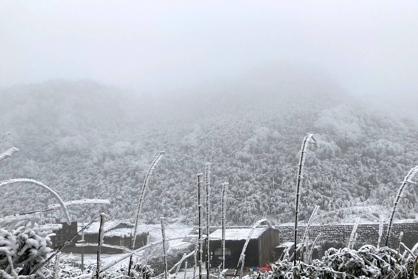 原创 重庆金佛山被人忽略的景点,被誉为天下第一,形成于350万年前1