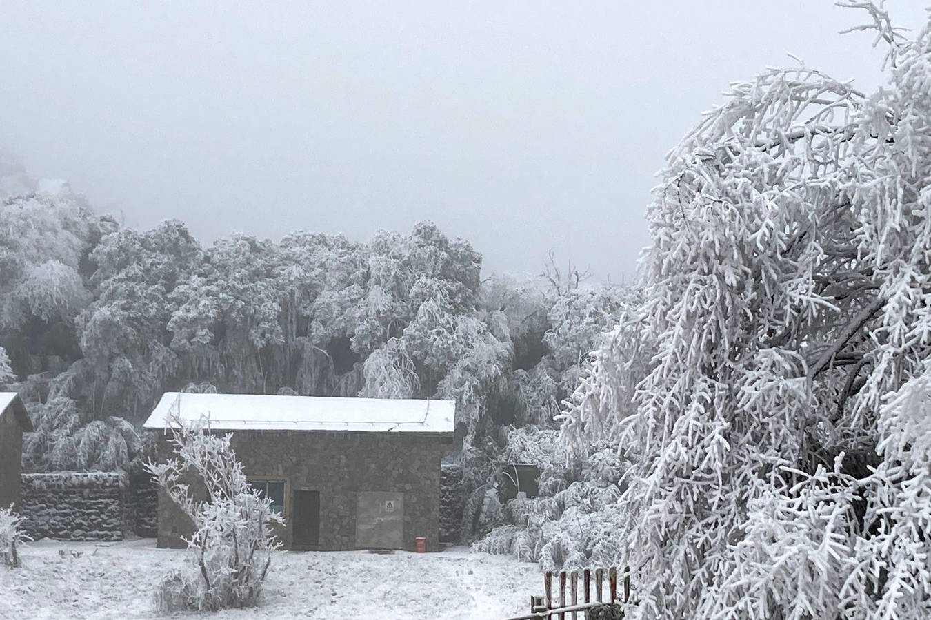 原创 重庆金佛山被人忽略的景点,被誉为天下第一,形成于350万年前2