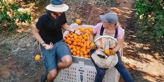 原创 背包旅游和穷游,未来有可能消失吗?5